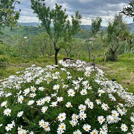 La Collina In Stanza - Alojamento de Acomodação e Pequeno-almoço Atessa