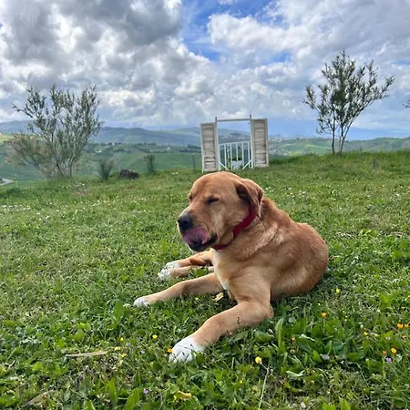 La Collina In Una Stanza - *