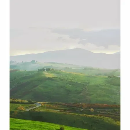 La Collina In Stanza - Bed & Breakfast