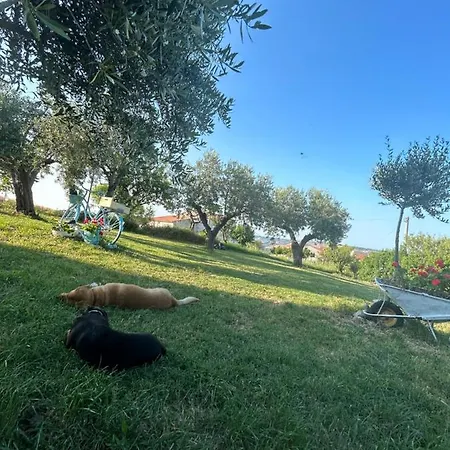 La Collina In Stanza - 3*