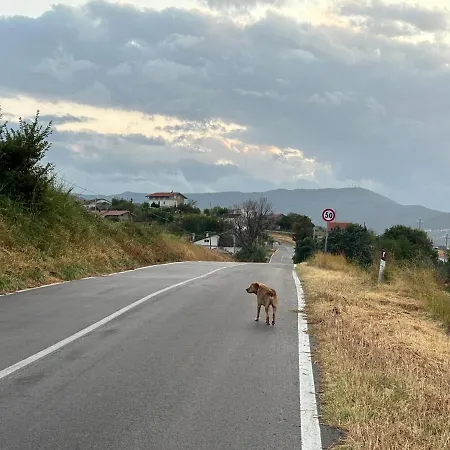 La Collina In Una Stanza - * Atessa