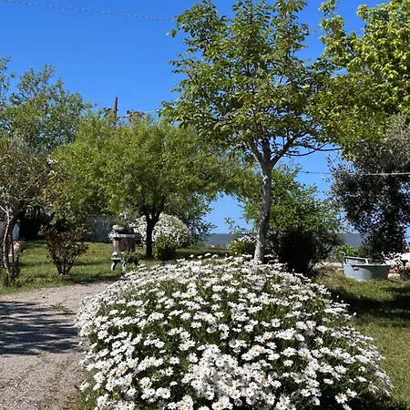 Bed & Breakfast La Collina In Stanza - Atessa
