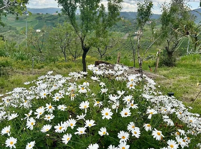La Collina In Stanza - Bed & Breakfast Atessa