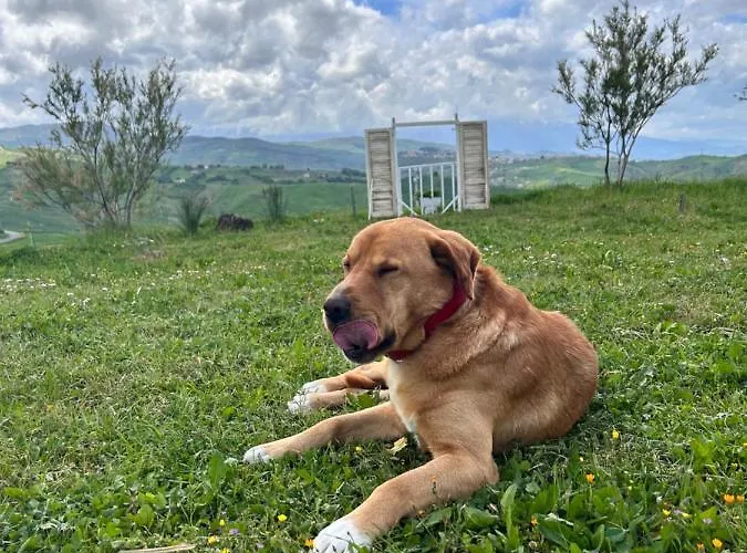 La Collina In Stanza - 3*