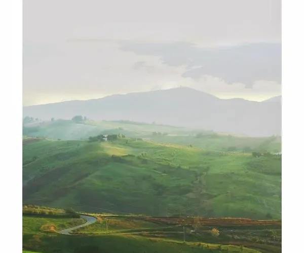 La Collina In Stanza - Bed & Breakfast