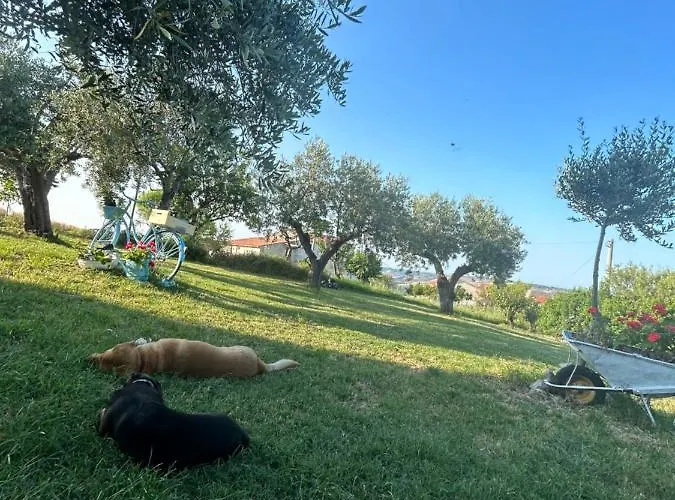 La Collina In Stanza - 3*