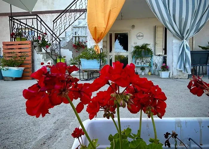 La Collina In Stanza - Bed & Breakfast 3*