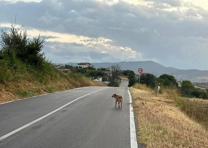 La Collina In Stanza - 3* Atessa